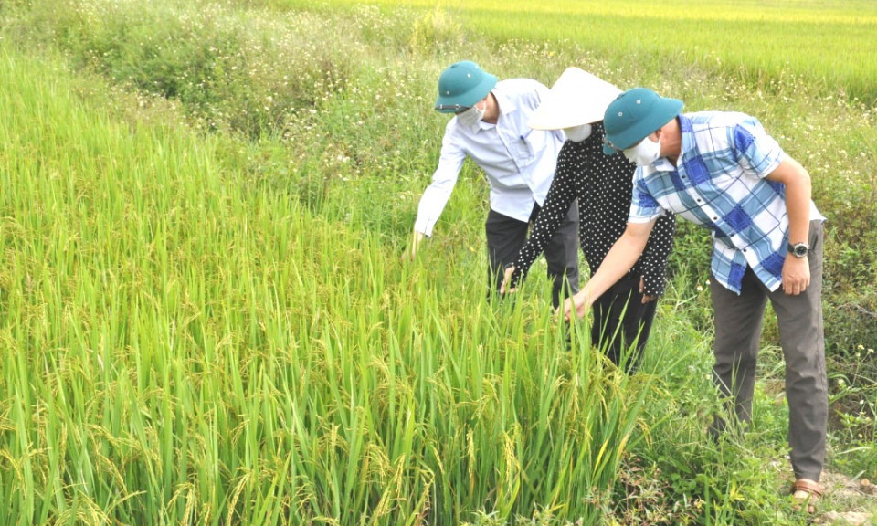  "Lá chắn thép" trong khu dân cư - Bài 1: Về nơi từng là tâm dịch