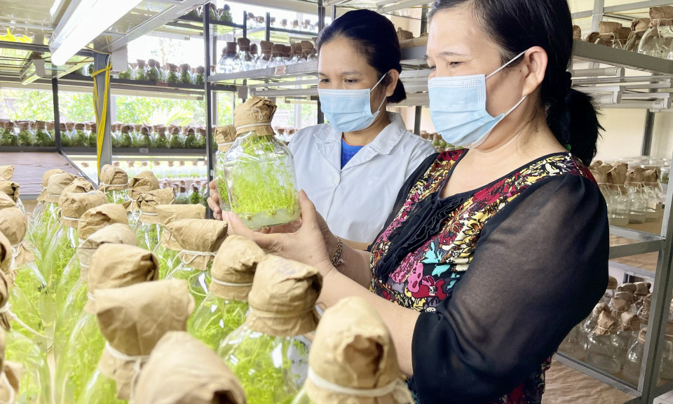 Ứng dụng KHCN vào sản xuất nông nghiệp