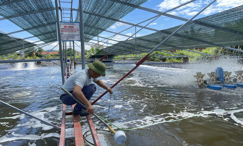 Ngành nông nghiệp Quảng Yên vượt khó