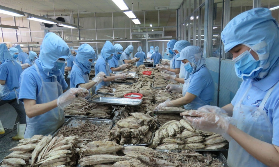 “5 không” cho doanh nghiệp Việt khi kinh doanh tại EU