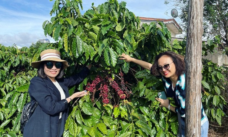 Đầu tư chuyển đổi số để phát triển du lịch nông thôn