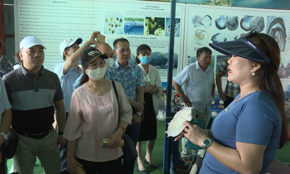 "Không vì khó khăn mà doanh nghiệp du lịch chùn bước"