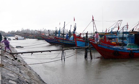 Yêu cầu các địa phương chủ động ứng phó với áp thấp nhiệt đới