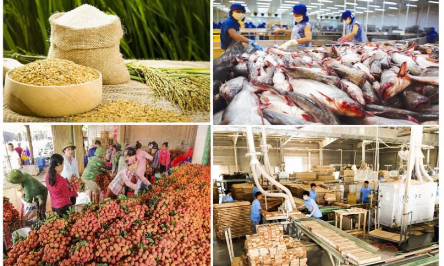 Xuất khẩu nông lâm thủy sản tiếp tục giữ đà tăng trưởng