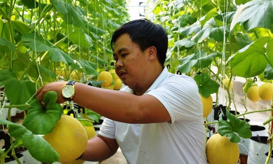 Nông nghiệp công nghệ cao mở lối cho tư duy kinh tế nông nghiệp