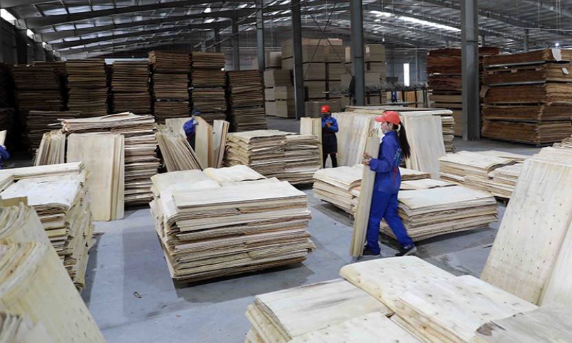 Liên kết để phát triển bền vững