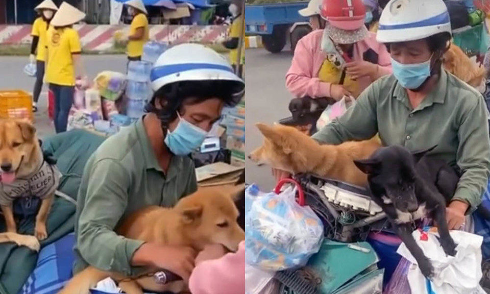 Làm rõ vụ tiêu hủy đàn chó của cặp vợ chồng về Cà Mau tránh dịch