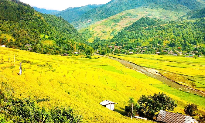 Rice paddies in Tu Le Valley bask in the golden glow of autumn