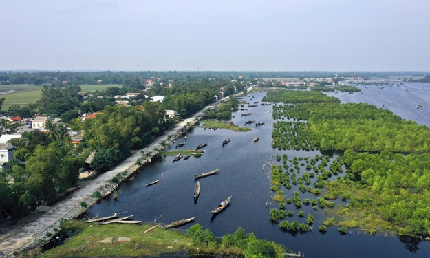 Việt Nam to plant extra 20,000ha coastal forest to cope with climate change