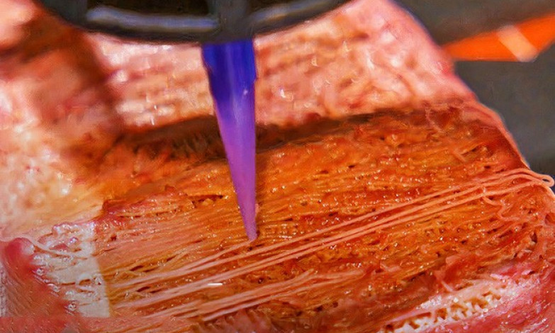 Nhật Bản làm thịt bò wagyu bằng máy in 3D