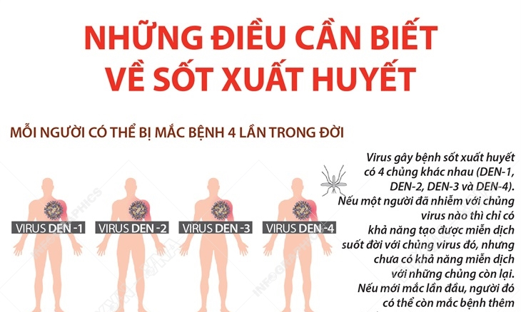 Những thông tin cần biết về bệnh sốt xuất huyết