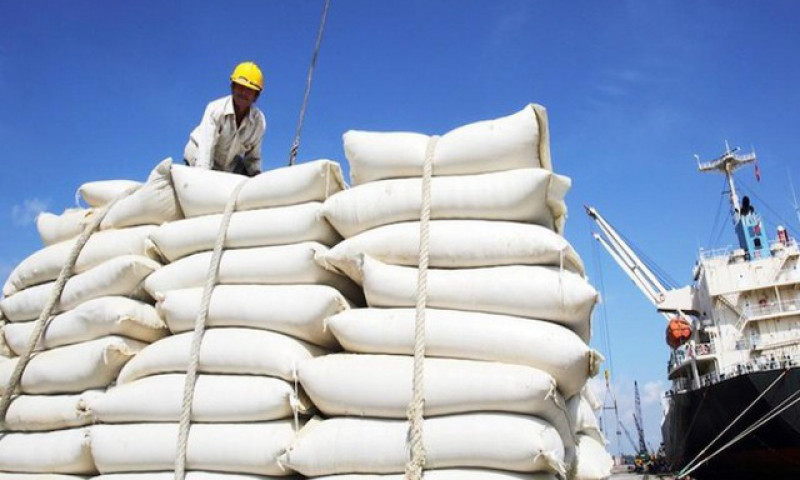 Doanh nghiệp xuất khẩu gạo hồi phục sản xuất