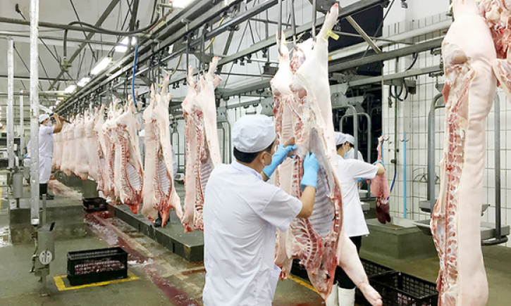 Giá lợn giảm xuống mức kỷ lục, đề xuất siết nhập khẩu thịt ngoại