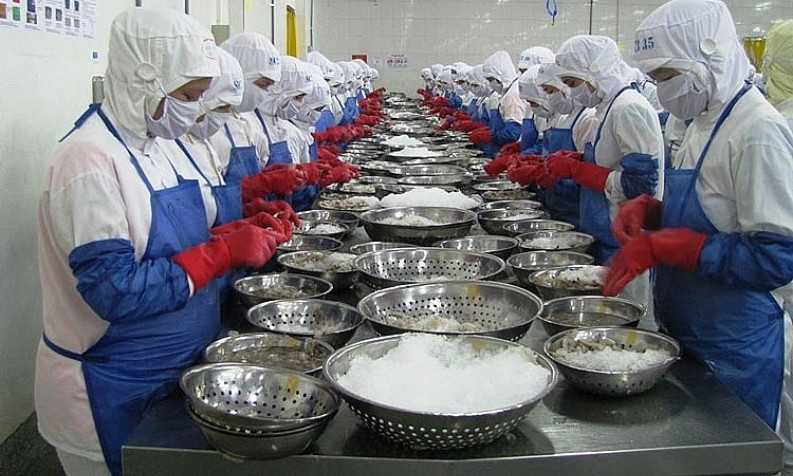 Xuất khẩu tôm dần phục hồi sau 2 tháng liên tiếp giảm