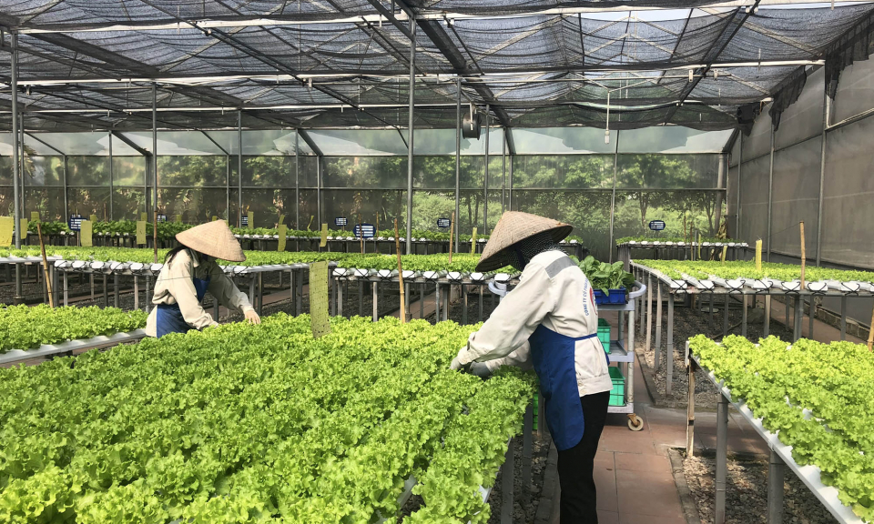 Hướng đến nền nông nghiệp hiện đại, bền vững 