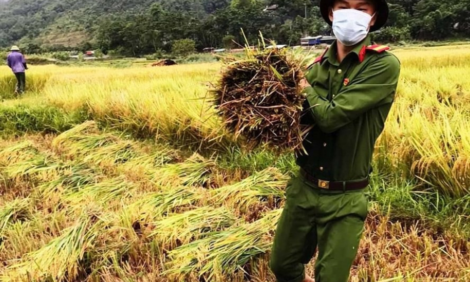 Việt Nam bỏ phí hàng tỉ USD từ phụ phẩm nông nghiệp