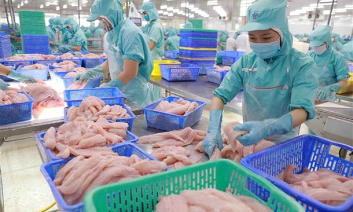 VASEP: Dự báo xuất khẩu thủy sản năm nay chỉ đạt 8,4 tỷ USD