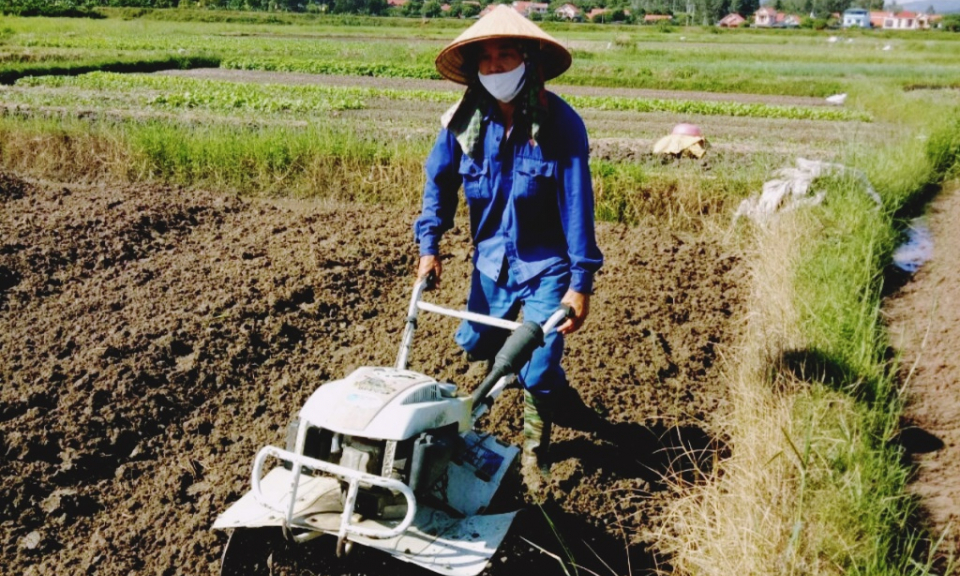 TX Quảng Yên: Chuẩn bị tốt cho sản xuất vụ đông 