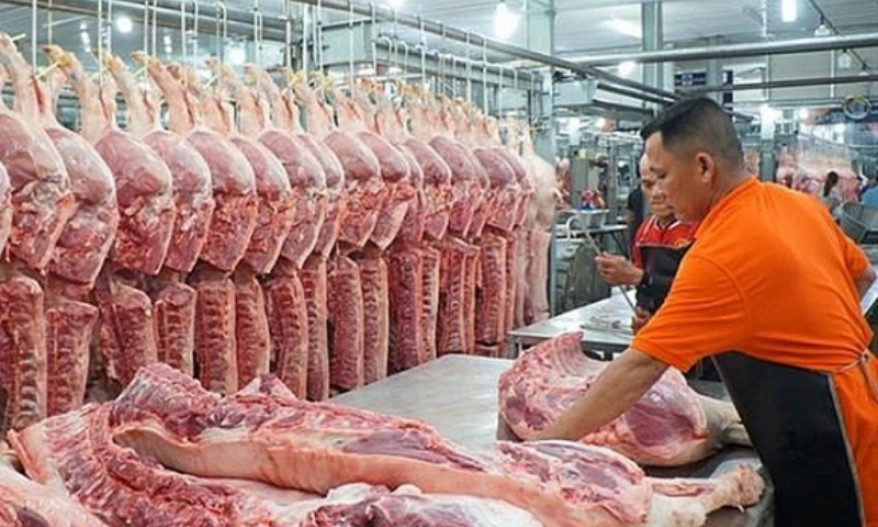Thịt lợn tăng giá, người chăn nuôi vẫn chưa có lãi