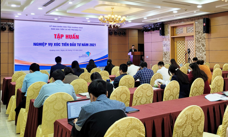 Tập huấn nghiệp vụ xúc tiến đầu tư 