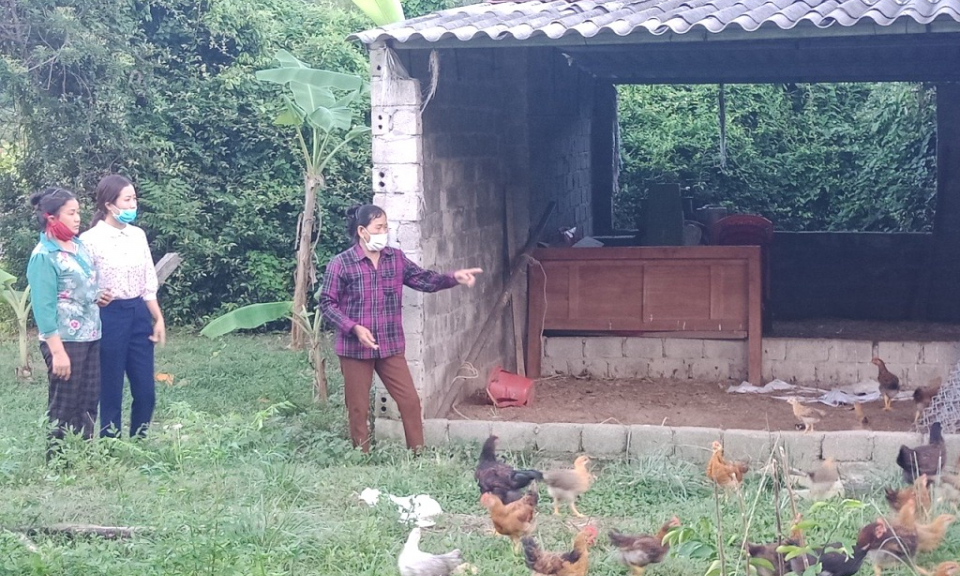 Tấm gương vượt khó, thoát nghèo