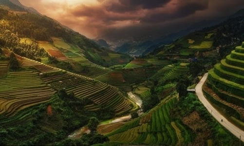 Picture of Vietnamese rice terraces enters prestigious photography contest