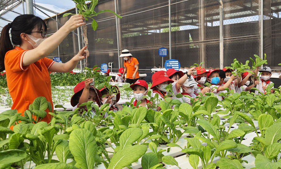 Sản phẩm nông nghiệp tiêu biểu Quảng Ninh