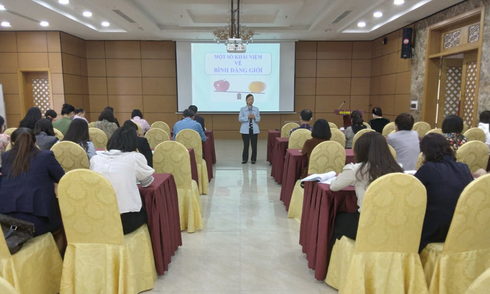 Tập huấn triển khai Chiến lược Quốc gia về Bình đẳng giới và Chương trình phòng ngừa ứng phó với bạo lực trên cơ sở giới
