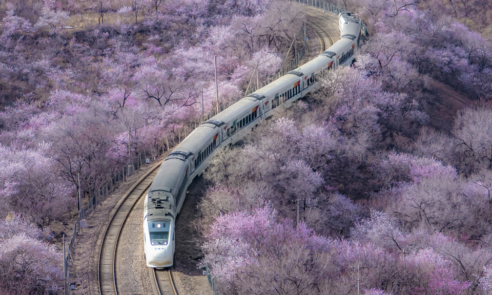 中国“开往春天的列车”