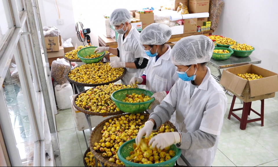 Tạo sức bật cho nông sản