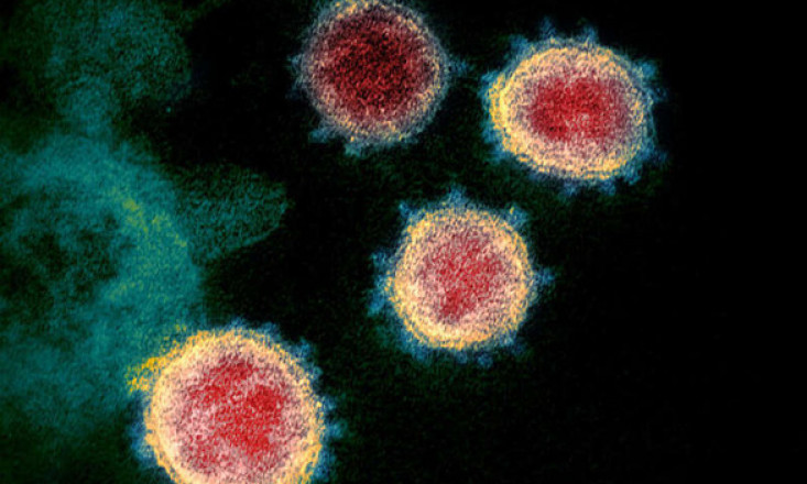 Biến thể virus corona 'có thể làm giảm hiệu quả vắc xin' xuất hiện rồi tuyệt chủng?