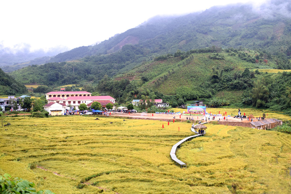 The festival was taken place right next to ripen rice fields and misty hillsides.