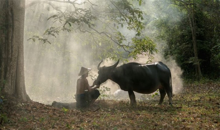 Mê đắm trước những bức ảnh nông thôn của 3 nước Thái Lan, Myanmar và Việt Nam 5