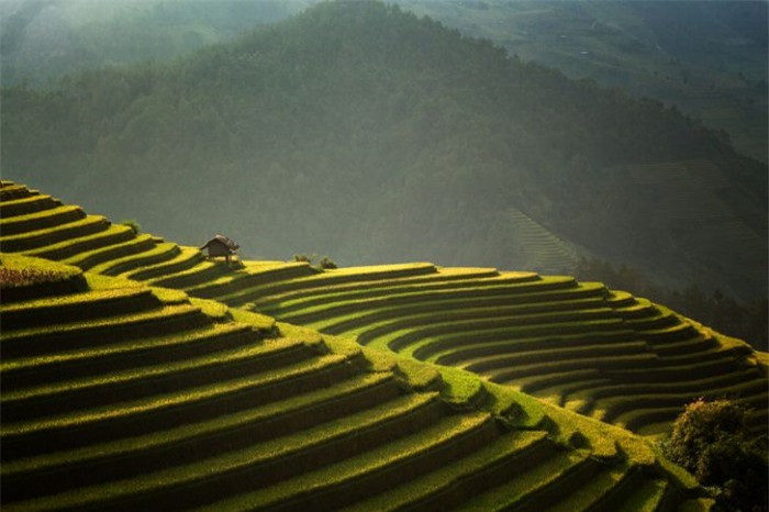 Mê đắm trước những bức ảnh nông thôn của 3 nước Thái Lan, Myanmar và Việt Nam 7