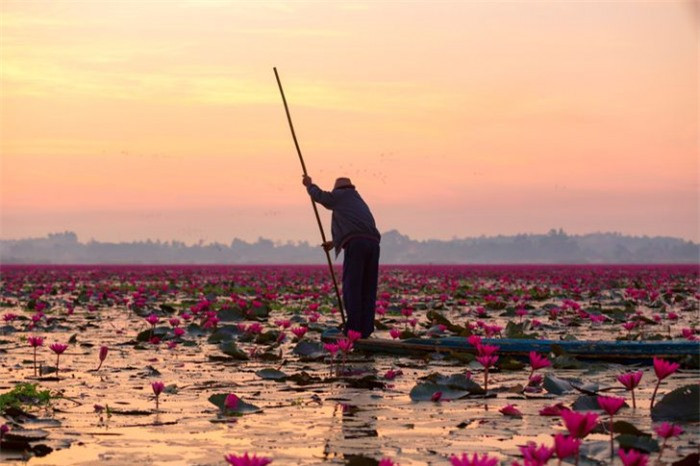 Mê đắm trước những bức ảnh nông thôn của 3 nước Thái Lan, Myanmar và Việt Nam 13