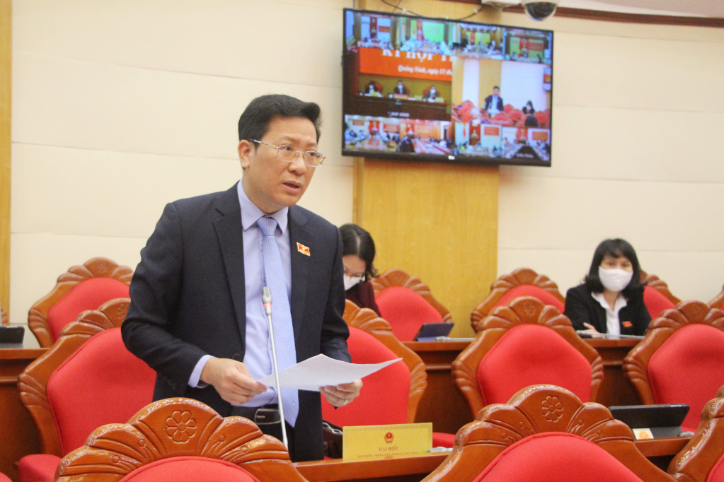Đại biểu Nguyễn Việt Dũng, tổ đại biểu Hạ Long, phát biểu thảo luận tại hội trường.