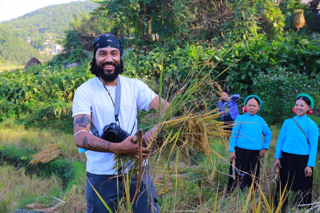 Du khách nước ngoài thích thú trải nghiệm gặt lúa cùng người dân trên cánh đồng ruộng bậc thang.