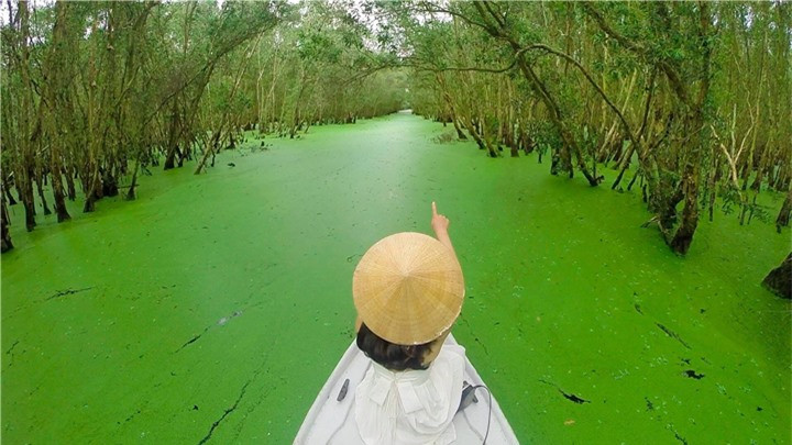 Cánh rừng từng nhận 2 kỷ lục Việt Nam đẹp mướt mát sắc xanh mùa nước nổi - 4