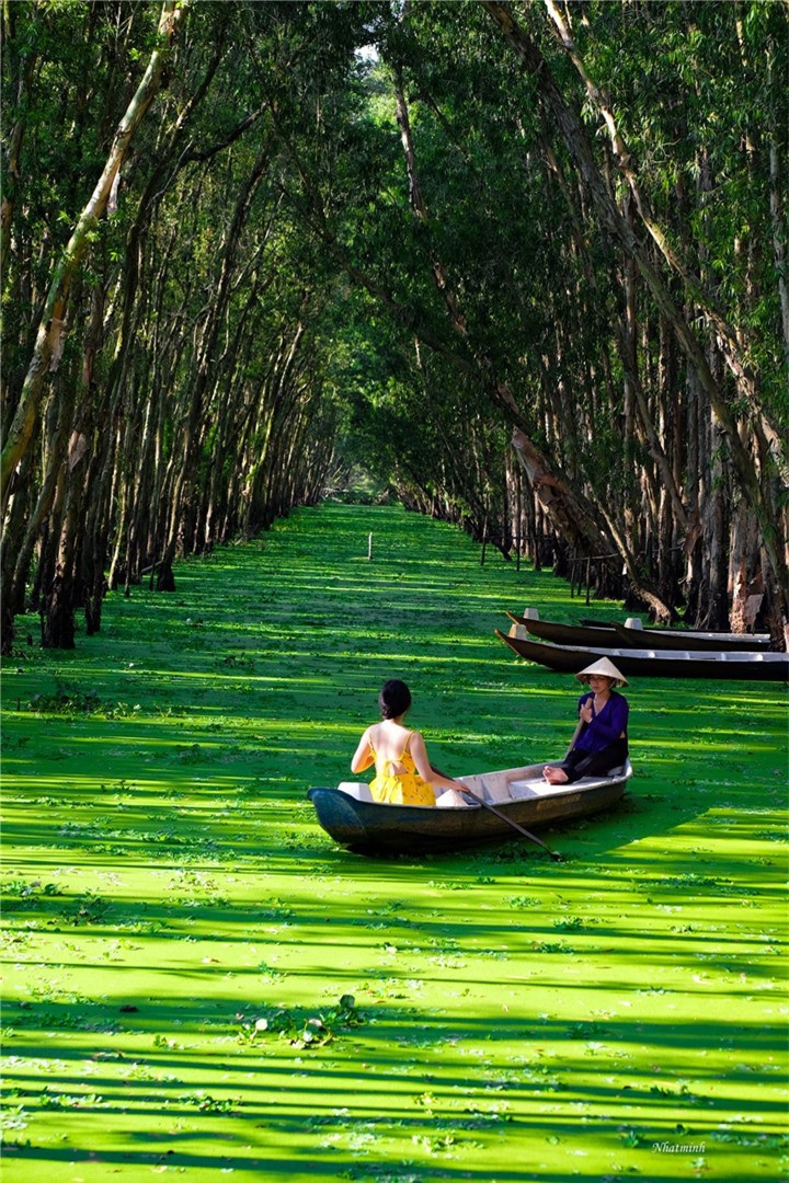 Cánh rừng từng nhận 2 kỷ lục Việt Nam đẹp mướt mát sắc xanh mùa nước nổi - 5