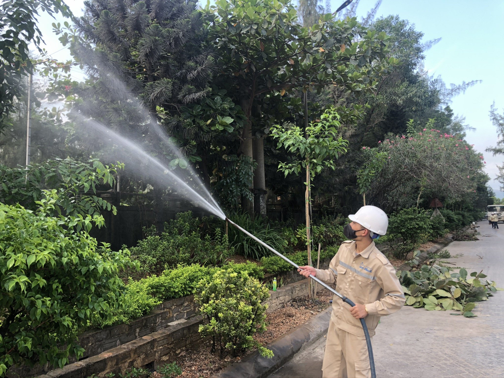 Nhân viên Công ty Cổ phần Xi măng và Xây dựng Quảng Ninh thường xuyên chăm sóc cây xanh mỗi buổi chiều. 