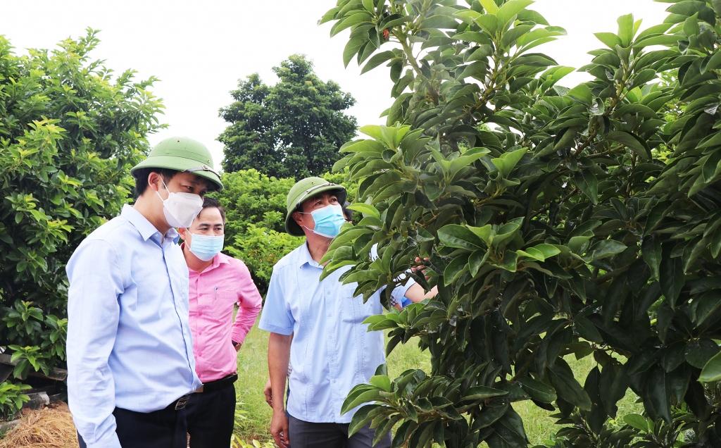 Lãnh đạo TX Đông Triều và Sở NN&PTNT kiểm tra tình hình sản xuất nông nghiệp của bà con.
