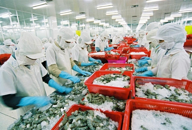 Workers process shrimp for export to Russian market in a seafood processing firm in An Giang province. Russia has become a potential market for Vietnamese exporters in recent years.