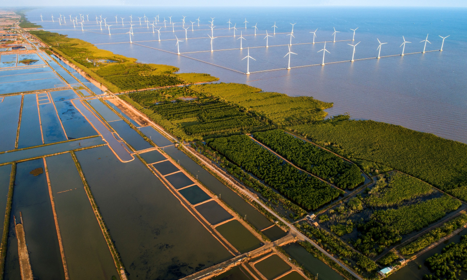 Climate change adaptation: Viet Nam is making concrete actions to go green