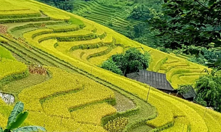 Du lịch Hà Giang hướng tới thích ứng an toàn với COVID-19