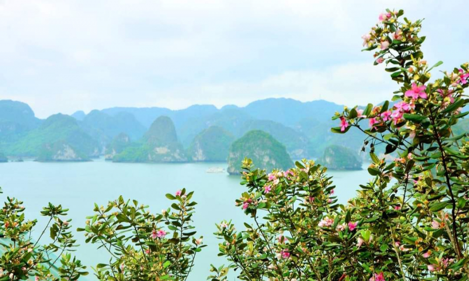 Trải nghiệm đảo Soi Sim