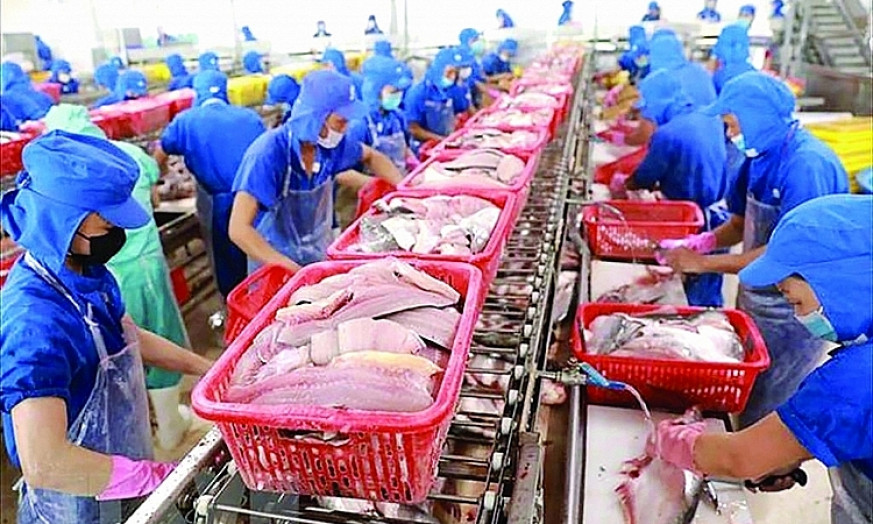 Xuất khẩu thủy sản: Kỳ vọng từ các mặt hàng chủ lực