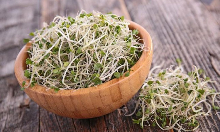 Giá đỗ rất bổ dưỡng nhưng cần lưu ý những điều sau để tránh nguy cơ trúng độc, thậm chí mắc ung thư