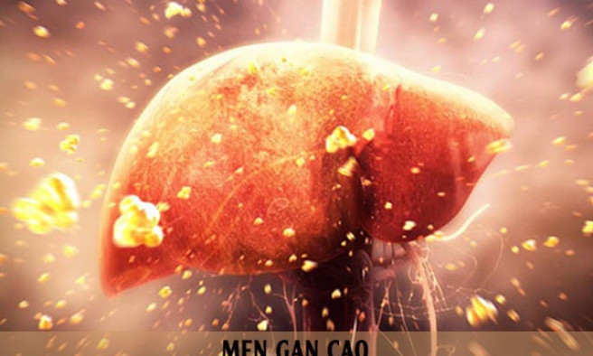 Men gan tăng cao nguy hại đến sức khỏe như thế nào?