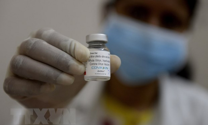 WHO cấp phép sử dụng khẩn cấp cho vaccine phòng COVID-19 của Ấn Độ