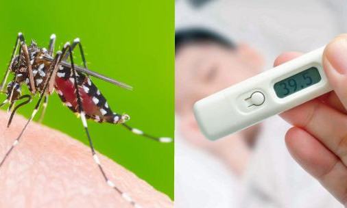 Sốt xuất huyết bao lâu thì khỏi? Những sai lầm khiến bệnh chuyển nặng